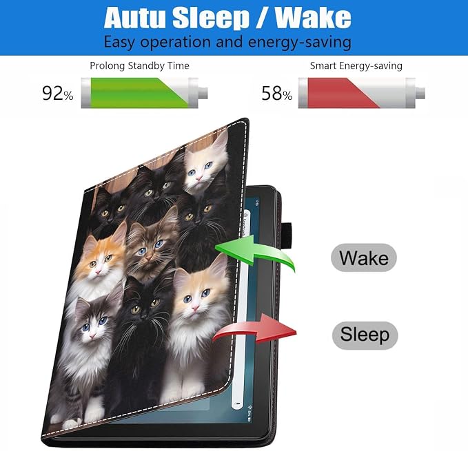 Cats