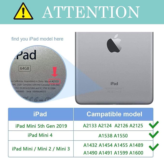 Moonlit Snails and Mushrooms