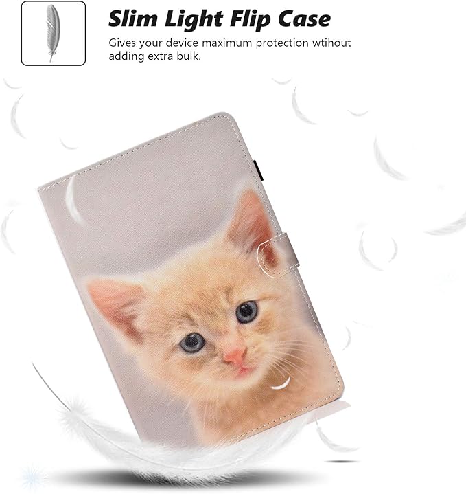 B_Cute Cat
