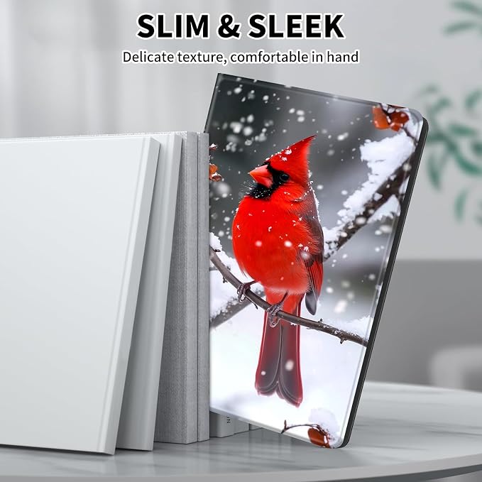 Main Cardinals Snow