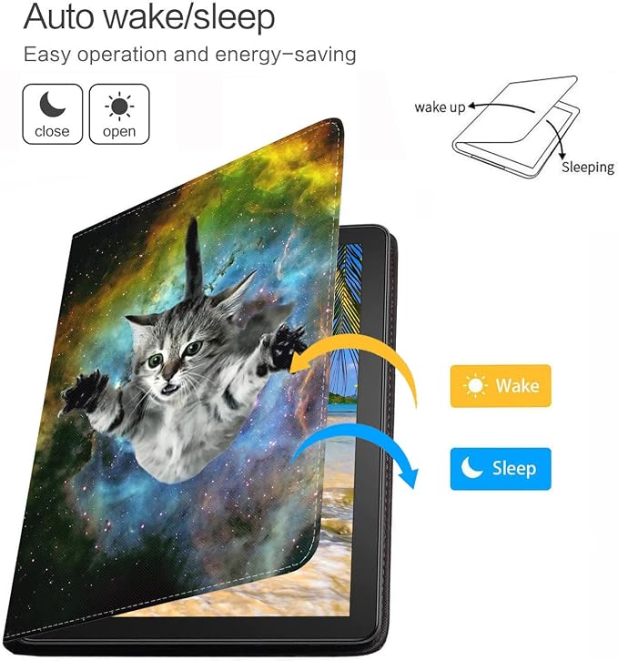 Galaxy Flying Cat