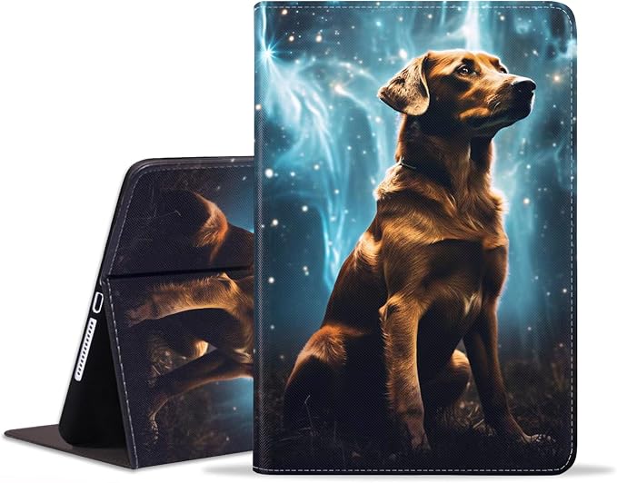 Labrador-1