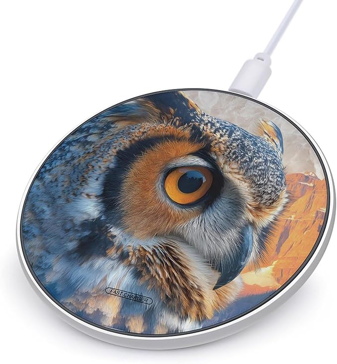 Owl Forests Mountains River Sunset Fast Portable Charger 10W Funny Graphic Phone Charging Pad with USB Cable