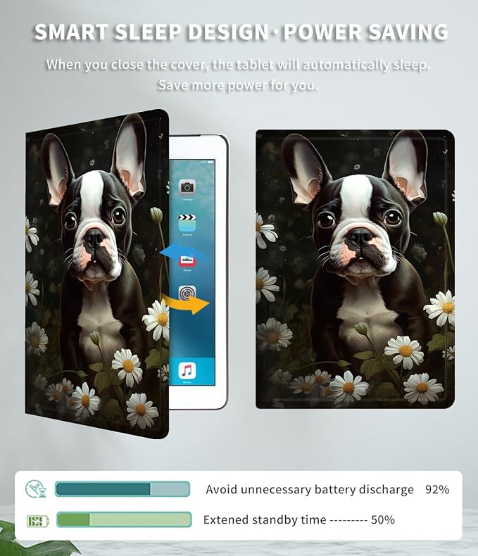 Boston Terrier Dog