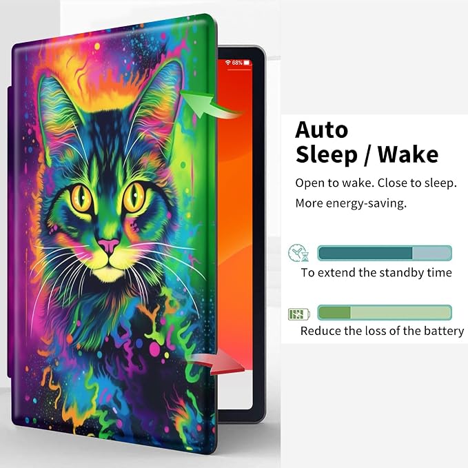 Colorful Cat Kitten