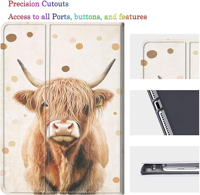Highland Cow