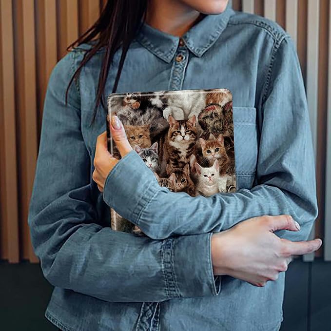 Cats Kittens