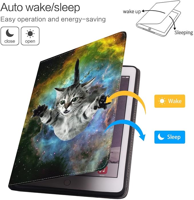 Galaxy Flying Cat