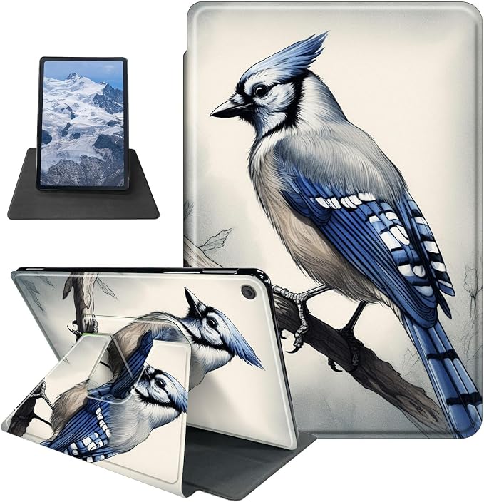 Blue Jay Bird