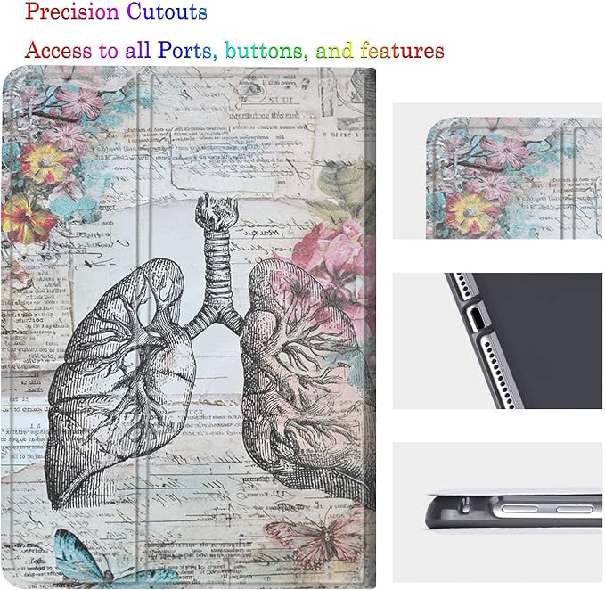 Vintage Lung Anatomy