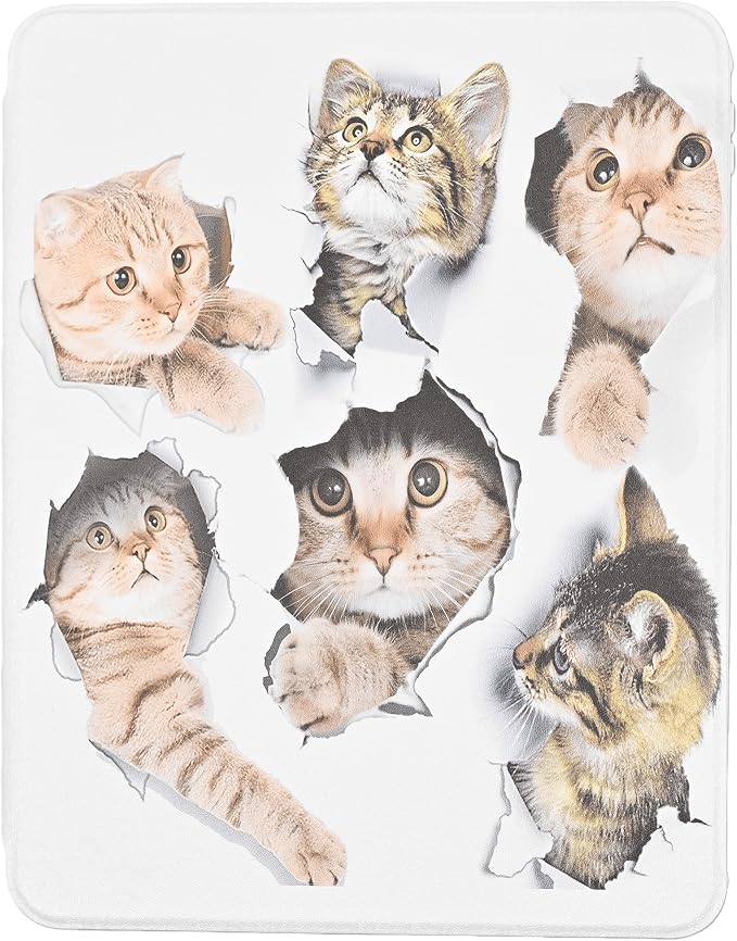 Funny Cat