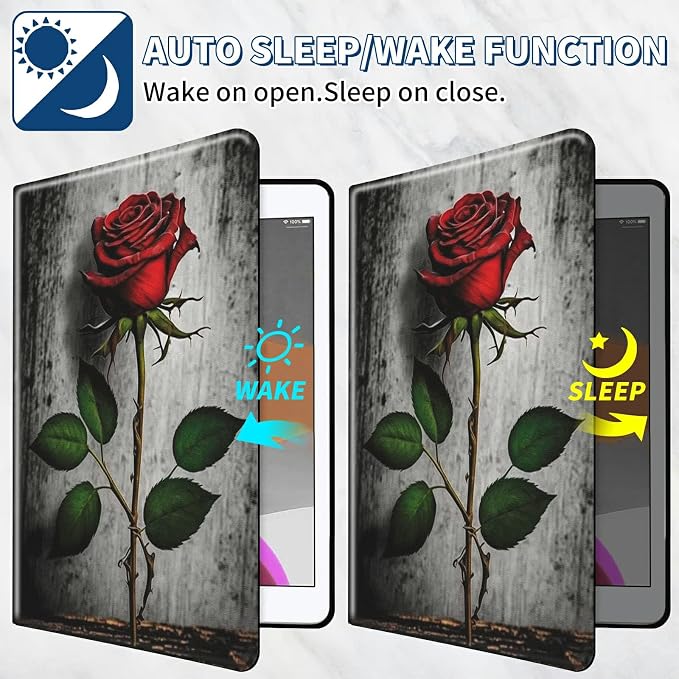 Red Rose on Wall