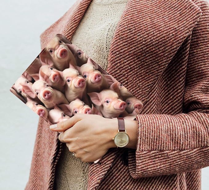 Cute Piglets