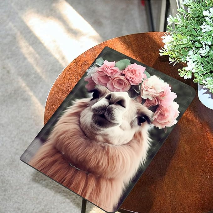 Cute Alpaca