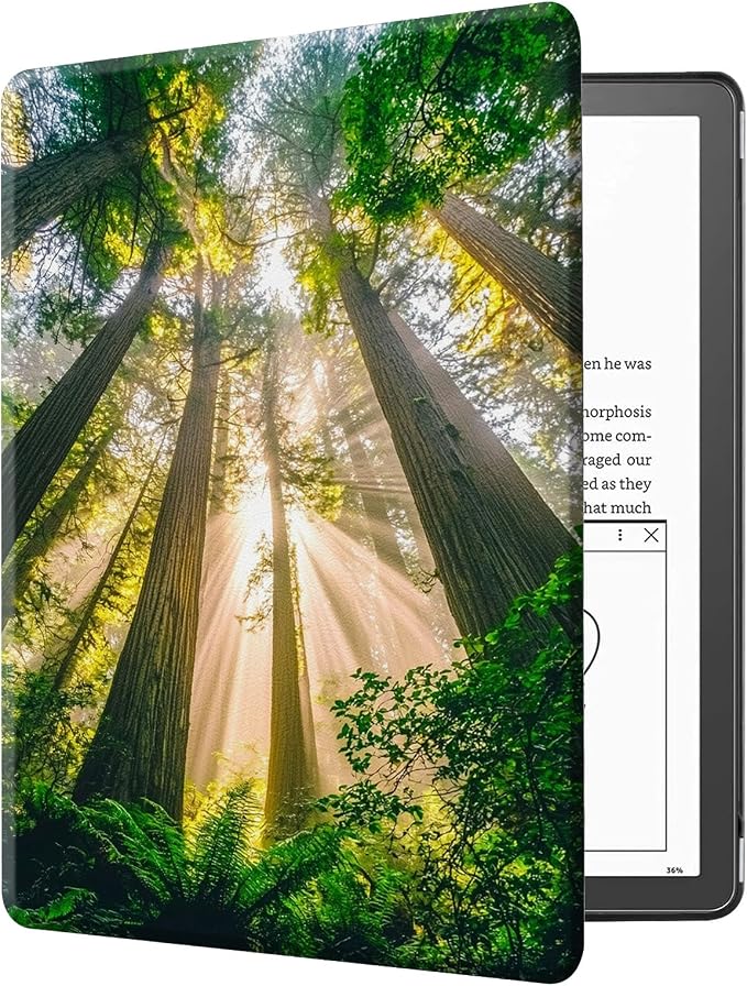 Sunny Forest