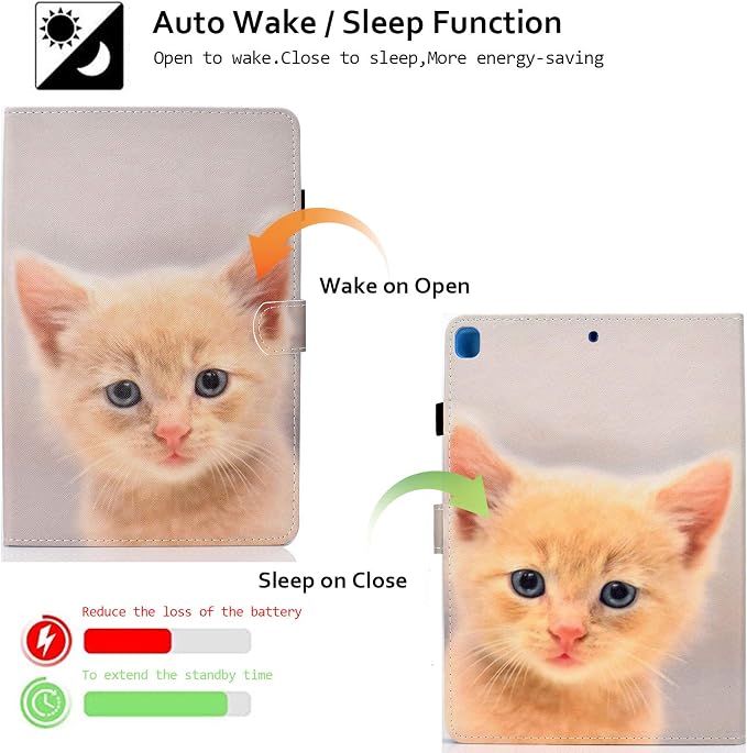 01 Cute Kitten