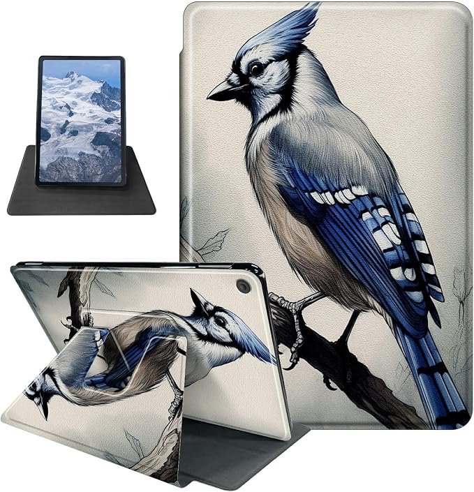Blue Jay Bird