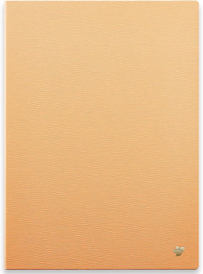 iflytek AINOTE 2 Paper Tablet 10.65 Protective Case-Orange