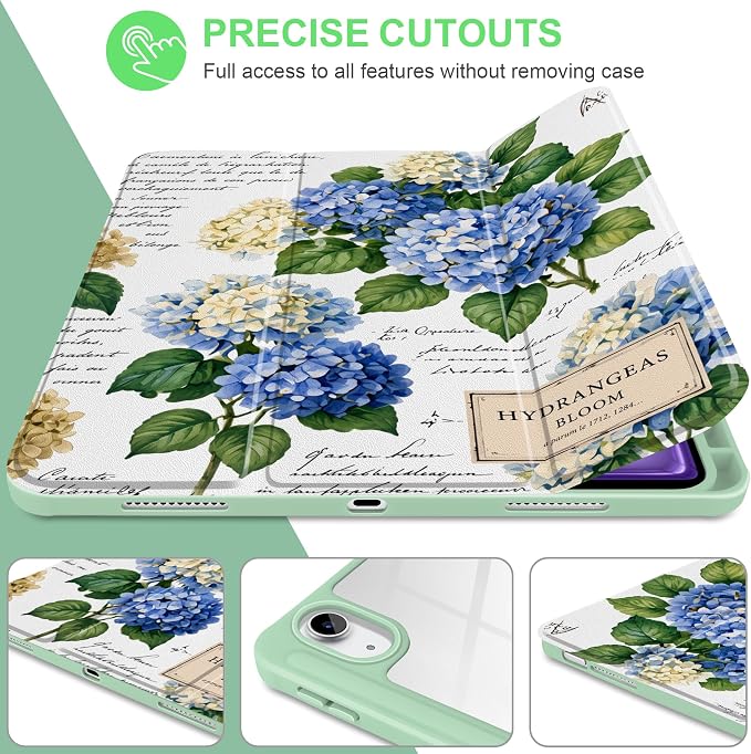 Hydrangea Bloom
