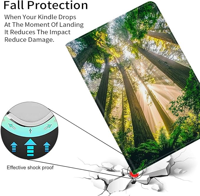 Sunny Forest