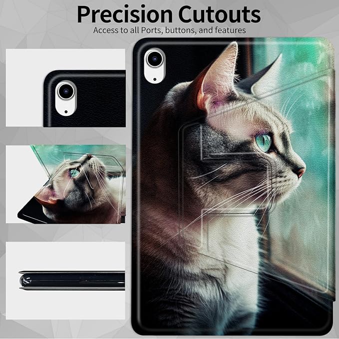 Cat Window
