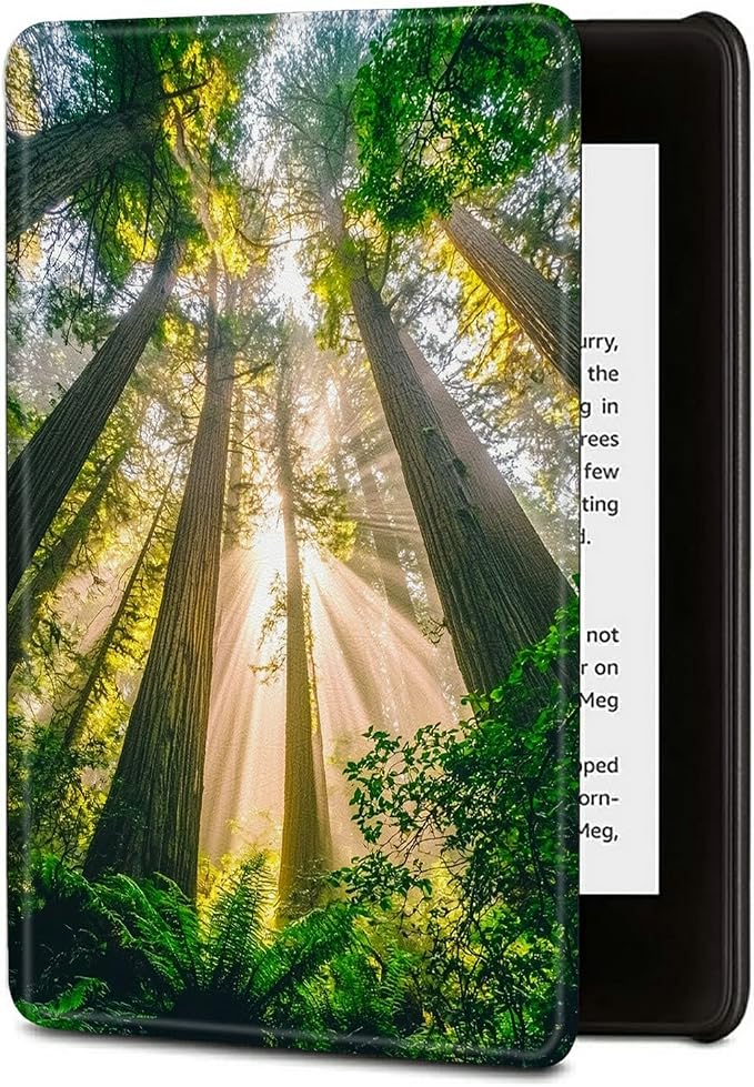 Sunny Forest