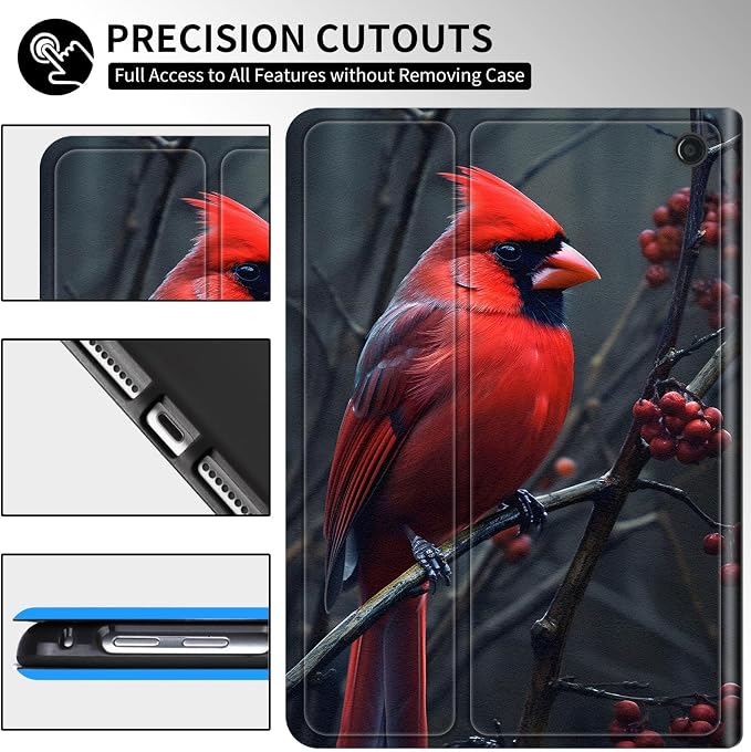 Beautiful Redbird