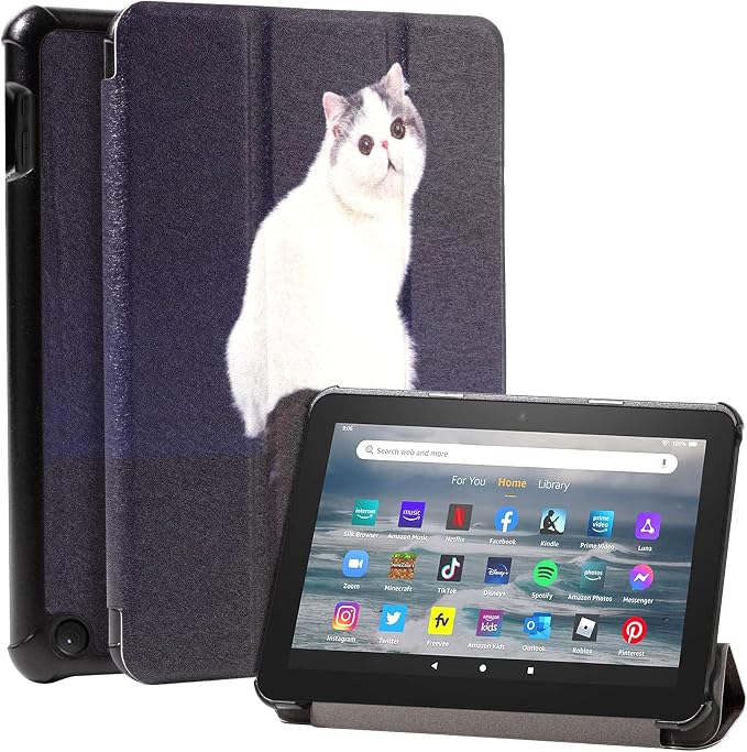 001 Cute Cat
