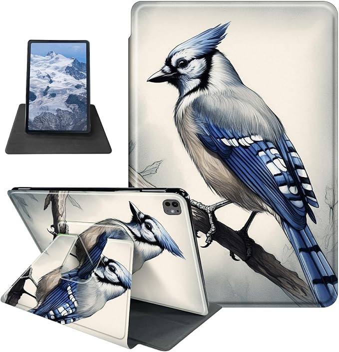Blue Jay Bird
